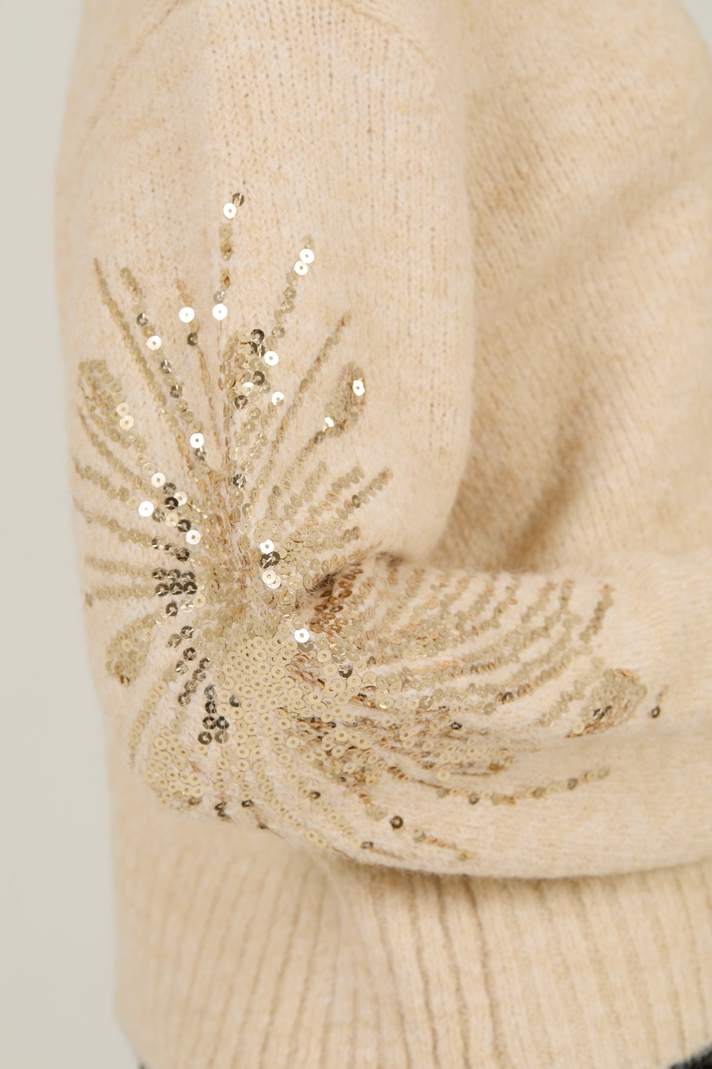 JERSEY CON LENTEJUELAS